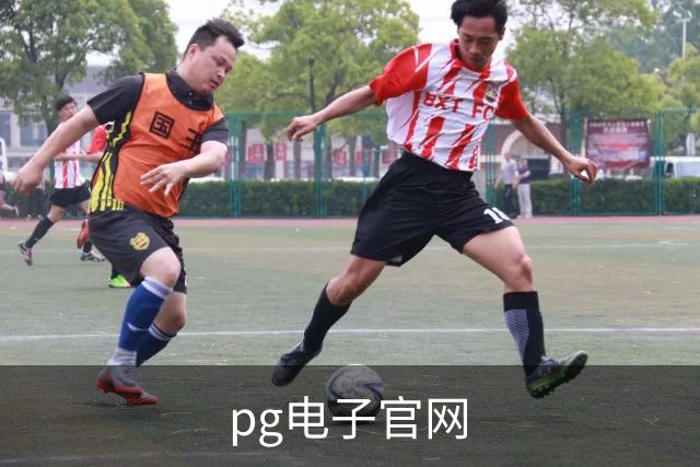 pg电子官网公司简介图片